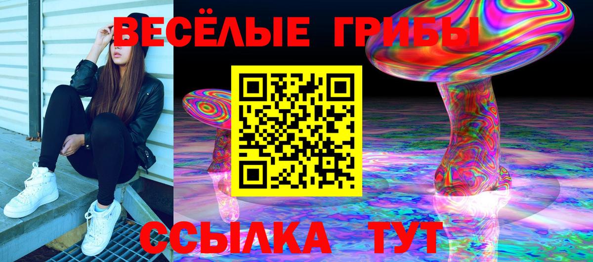 Малгобек  Псилоцибиновые грибы Psilocybe  Вход с VPN 